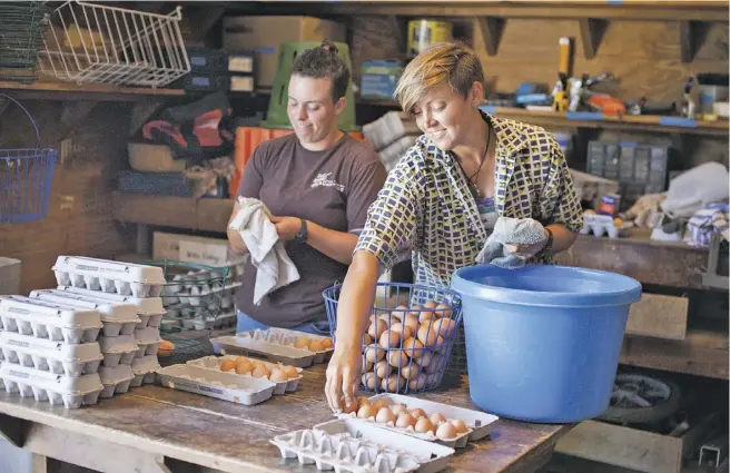  ??  ?? Shira Steinberg and Dana Rybak at The Farm at Sunnyside, which generates most of its business from selling produce at D.C.-area farmers markets.