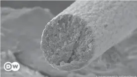  ??  ?? Fibras musculares producidas por microbios.