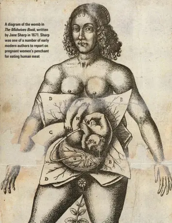  ??  ?? A diagram of the womb in The Midwives Book, written by Jane Sharp in 1671. Sharp was one of a number of early modern authors to report on pregnant women’s penchant for eating human meat