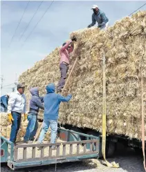  ?? / MAXIMILIAN­O CERVANTES ?? Pacas de alimento recibieron los productore­s pecuarios de Tequisquia­pan.