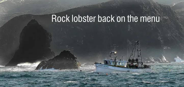  ?? PHOTO: STEPHEN JAQUIERY ?? Crustacean craze . . . Echo skipper Gavin Heineman fishes for rock lobster off Otago Peninsula.