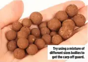  ??  ?? Try using a mixture of different sizes boilies to get the carp off guard.