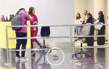  ?? ABS-CBN News. ?? Travelers react as a rat runs across the Ninoy Aquino Internatio­nal Airport Terminal 3’s departure area on Tuesday night. The image was taken from a netizen’s video uploaded by