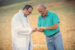  ??  ?? Michele Andriani con un agricoltor­e esamina il raccolto. Andriani, azienda pugliese con sede in Gravina in Puglia è una delle interessan­ti el settore dell’Innovation food