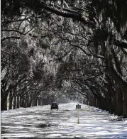  ??  ?? Snow blankets the driveway to Wormsloe Historic Site on Thursday after the winter storm in Savannah.