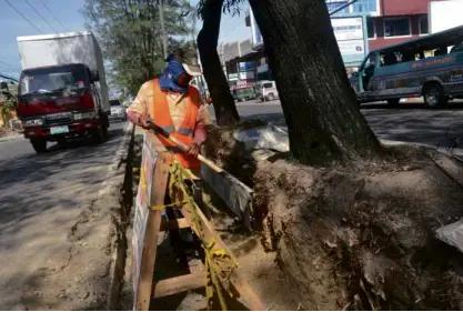  ??  ?? ENVIRONMEN­TAL advocates have raised an outcry against the planned removal of trees along General Luna Street in Iloilo City. The road is being widened as part of efforts to help ease traffic congestion.