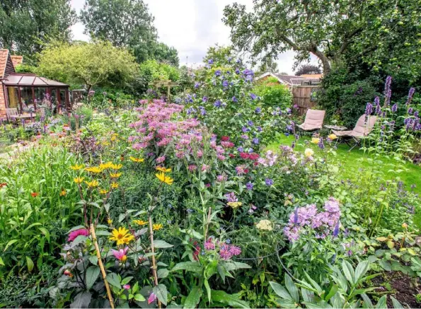  ??  ?? NECTAR RICH (clockwise from above) Pink monardas jostle with yellow heliopsis, lilac phlox, hibiscus ‘Blue Bird’ and spires of purple agastache ‘Black Adder’; the gravel garden; a pondside view showing the summerhous­e; the pond’s sloping beach gives...