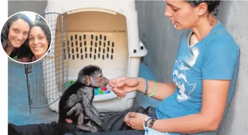  ?? // ABC ?? Lorena Aguirre (izquierda) e Itsaso Vélez (derecha, con la cría) rescatan a chimpancés huérfanos
