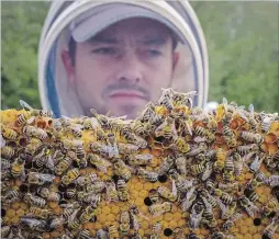  ?? JEFF MCINTOSH THE CANADIAN PRESS ?? Beekeeper Kevin Nixon near Innisfail, Alta., in 2016. The nicotine-based pesticides scientists have linked to honey bee deaths will be phased out of use in Canada.