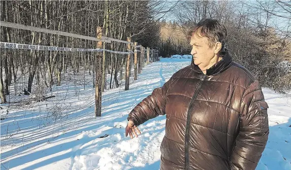  ?? Foto: Václav Janouš, MAFRA ?? Jak dlouho se ještě bude Eliška Kovaříková dívat na své pozemky skrz plot, není jasné. Od politiků se zatím lidé z Vrbětic dočkali jen slibů.