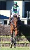  ??  ?? Impressive effort: Palemo wins the Hawke’s Bay Steeplecha­se at Hastings. Photo: RACE IMAGES.