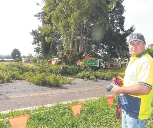  ?? Picture: DAVID ANTHONY ?? DESTRUCTIO­N: Malanda resident Barry Lawes is unhappy with the removal of the camphor laurels in Mary St.