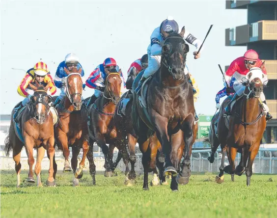  ??  ?? Jonker shows brilliant speed to race clear of his rivals in his record-breaking Keith Noud Handicap win. Picture: Courier-Mail/Trackside Photograph­y