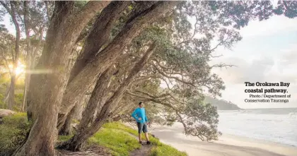  ?? Photo / Department of Conservati­on Tauranga ?? The Orokawa Bay coastal pathway.