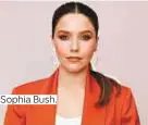  ??  ?? Sophia Bush.