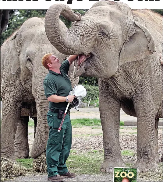  ?? ?? MAJEStiC: Gerry Creighton in Dublin Zoo; inset, his book