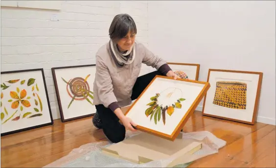  ?? PICTURE / PAUL BROOKS ?? Katy Buess unwraps her art ready for Leaf Lines exhibition at Fine Arts Whanganui.