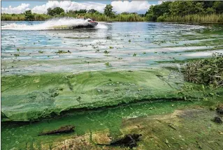  ?? PHOTOS BY GREG LOVETT / THE PALM BEACH POST ?? Dena Aiello rides her Sea-Doo in algae-laden water Tuesday on Lake Okeechobee in Clewiston. A 10,500acre above-ground reservoir could take about 10 years to build.