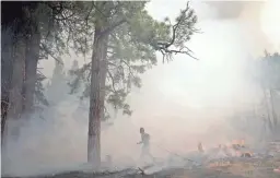  ??  ?? Zac Massery works to put out a fire on a lightning-scarred patch in April during the Howard prescribed burn south of Flagstaff.