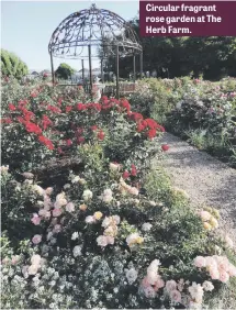  ??  ?? Circular fragrant rose garden at The Herb Farm.