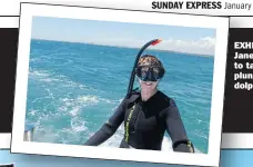  ??  ?? EXHILARATI­NG: Jane is all set to take the plunge with dolphins, below