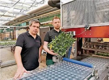  ?? RP-FOTO: GERHARD SEYBERT ?? Christian und Peter Bremkens stehen hier an der neuen Sortiermas­chine für Orchideen.