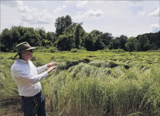  ?? Photos by Will Waldron / Times Union ?? David Pitlyk, historic site assistant at Bennington Battlefiel­d State Historic Site, shows some of the battlefiel­d land that was recently preserved through the American Battlefiel­d Trust on Friday in Hoosick. The field is part of a 23 acre parcel of land that the American Battlefiel­d Trust has purchased in the lead-up to the 250th celebratio­n of the American Revolution. Battlefiel­d Trust hopes to transfer the property to New York State Parks.