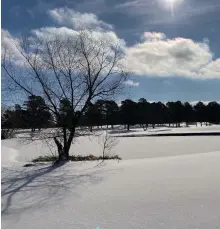  ?? (Pine Bluff Commercial/Byron Tate) ?? A frozen pond, such as this one at the Pine Bluff Country Club, looks inviting, but it could be a disaster waiting to happen for someone who ventures out on it, the Jefferson County sheriff’s office warns.