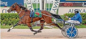  ?? ASHLEA BRENNAN ?? Turn It Up blitzes the Auckland Cup field at just his ninth start on New Year’s Eve at Alexandra Park.