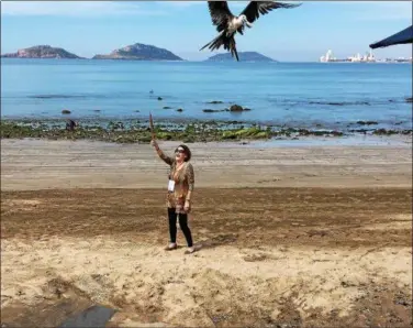  ?? JANET PODOLAK -- THE NEWS-HERALD ?? A frigate bird flies away with a bit of fish captured from the end of a stick held up by a visitor to Mazatlan.