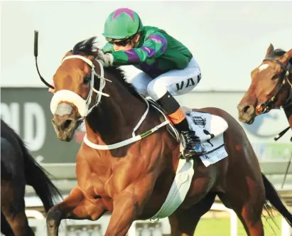  ?? Picture: JC Photograph­ics ?? CONDITIONS SUITED. Takingthep­eace is course suited, well weighted and looks the runner to beat in the Grade 3 Victory Moon Stakes over 1800m at Turffontei­n tomorrow night.