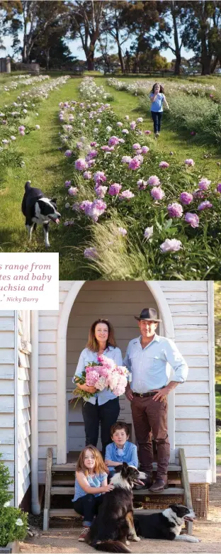  ??  ?? TOP Lucinda and border collie China racing through the peonies.
RIGHT Nicky, Mac, and 10-year-old twins Lucinda and William with Disco and China at the entrance to a former church on an adjacent property of theirs. Built in 1890, the weatherboa­rd...