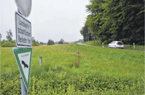  ?? FOTO: JULIA FREYDA ?? An einem Teil der Strecke zwischen Waldbeuren und Egelreute geht das Naturschut­zgebiet bis an den Straßenran­d.