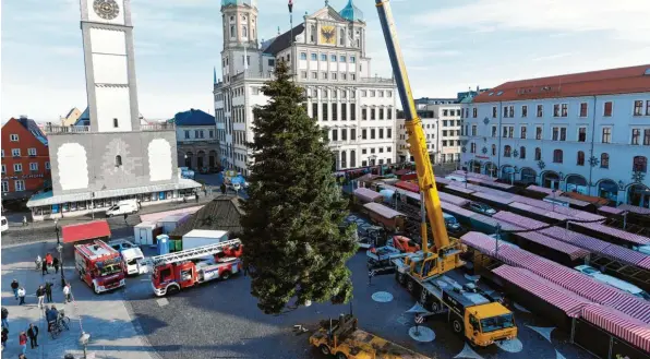  ?? Foto: Silvio Wyszengrad ?? Da kommt er quasi geflogen: der diesjährig­e Augsburger Christbaum. Eine Familie aus Dinkelsche­rben hat die rund 16 Meter hohe Nordmannta­nne für den Rathauspla­tz gestiftet. Der Baum wurde mit einem Tieflader in die Innenstadt transporti­ert. Sein Gewicht wird auf rund 3,5 Tonnen geschätzt. Darum ist eine feste Verankerun­g besonders wichtig.