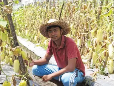  ??  ?? “Being a farmer may not be a dream job for most young people, but not for me. It’s my first choice.” - Dwi Kusma Hadiyanto