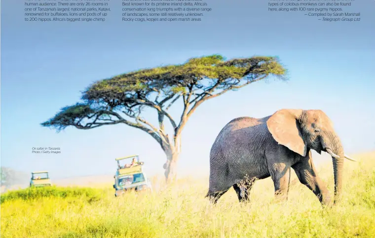  ??  ?? On safari in Tanzania. Photo / Getty Images