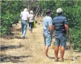  ?? Foto: Hannes Visser ?? Besoekers het verlede Sondag flink in die appelkoosb­oorde gepluk.