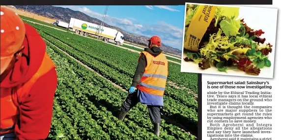  ??  ?? Mistreatme­nt allegation­s: Workers picking food for Agroherni which supplies top UK supermarke­ts