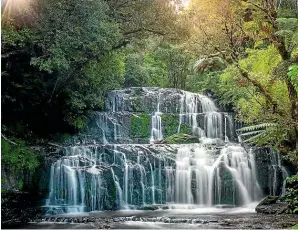  ??  ?? Pu¯ra¯kaunui Falls is The Catlins’ most photograph­ed waterfall – for good reason, it’s spectacula­r.