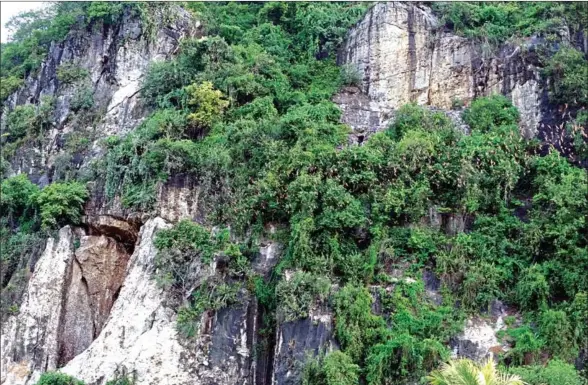  ?? HONG MENEA ?? The bat caves at Phnom Sampov are home to millions of the flying mammals, though their numbers have dropped dramatical­ly in recent years.