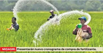  ?? ?? MIDAGRI.
Presentará­n nuevo cronograma de compra de fertilizan­te.