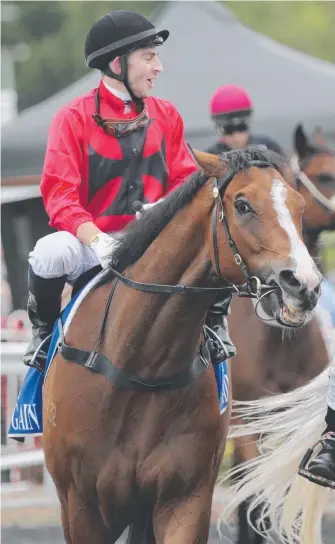  ?? Picture: GLENN HAMPSON ?? Ric McMahon returns to the enclosure after his fifth win on Outraged.