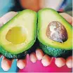  ?? | African News Agency (ANA) ?? CRIMINALS have targeted avocados as a moneymaker, stealing them from farmers battling to recover from the economic effects of the Covid-19 pandemic.