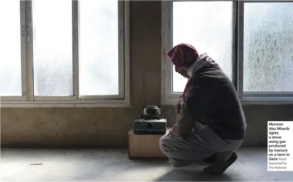  ??  ?? Murwan Abu Mharib lights a stove using gas produced by manure on a farm in Gaza