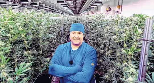  ?? DEAN CASAVECHIA ?? Jake Ward, head grower at Nova Scotia organic cannabis company Aqualitas Inc., stands in the company's facility in Brooklyn, Queens County. Ward was recently named Canada’s top grower by Grow Opportunit­y Magazine, a publicatio­n serving the country's cannabis industry.