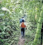  ??  ?? Los senderos ecológicos bordean el espejo de agua y lo llevan a un bosque secundario en recuperaci­ón donde se ven especies de aves, insectos y plantas.