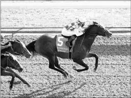  ?? COADY PHOTOGRAPH­Y ?? Kimari provided Wesley Ward with one of his four stakes victories opening weekend with this win the Grade 1 Madison.