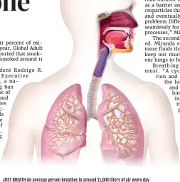  ?? ?? JUST BREATH An average person breathes in around 11,000 liters of air every day