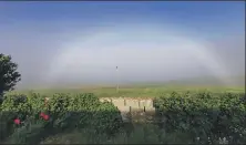  ??  ?? Left: Christyne Dunk from North Roe, Shetland, took this photo of a rare ‘fogbow’ or white rainbow from her parents’ garden at Newton, Skea, Northmavin­e, during a social distancing birthday visit.