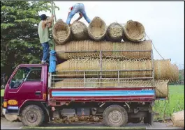  ?? JUN ELIAS ?? Men load bamboo baskets on a truck in Barangay Urbiztondo in San Juan, La Union yesterday.